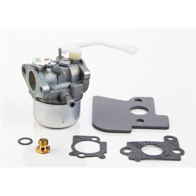 Briggs & Stratton Carburetor (694203)