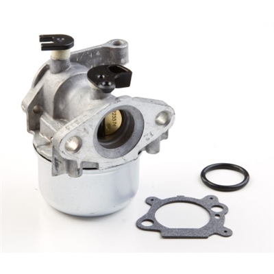 Briggs & Stratton Carburetor (799871)