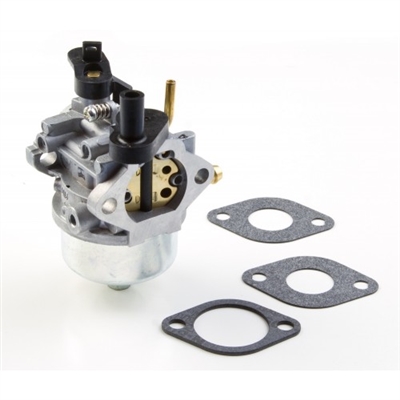 Briggs & Stratton Carburetor (801396)